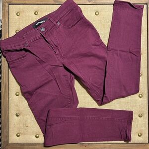 Express Deep Purple Denim Pants